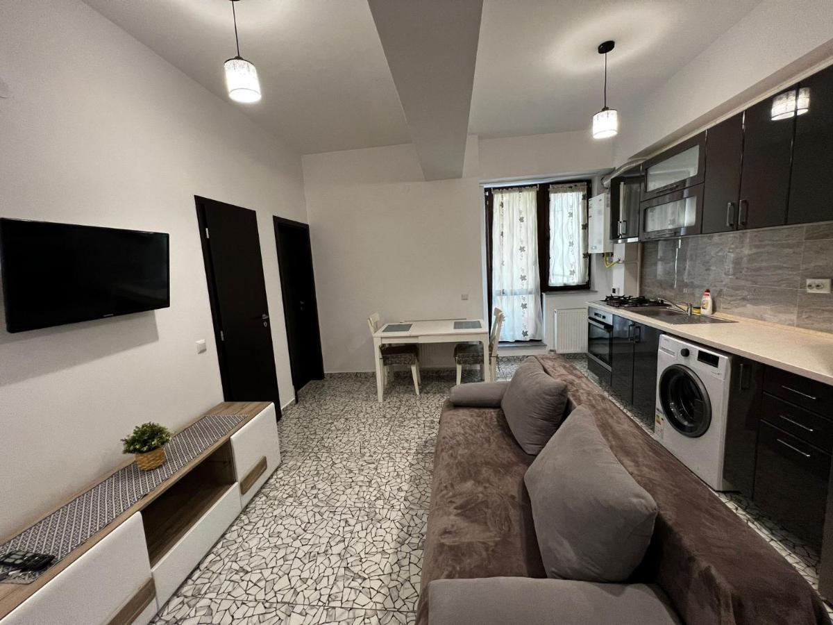 Cozy Accommodation Central City - Iasi Buitenkant foto