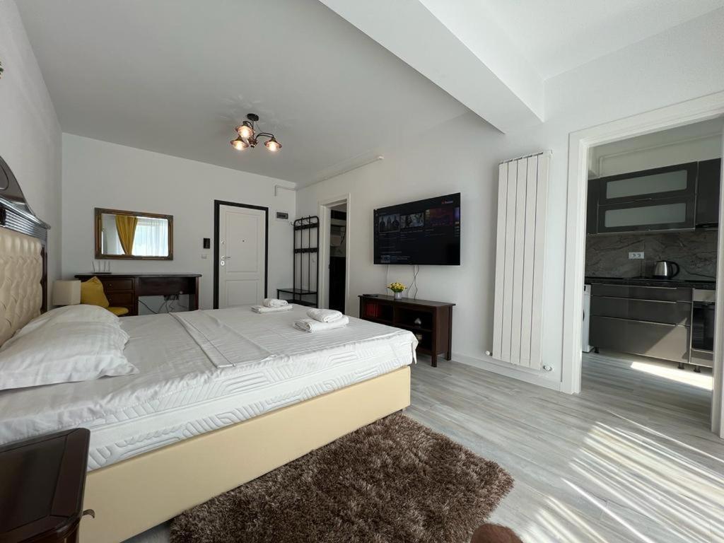 Cozy Accommodation Central City - Iasi Buitenkant foto