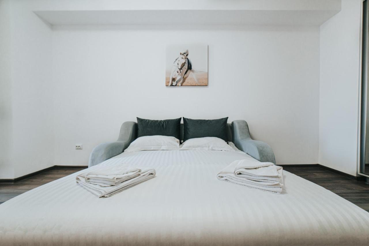 Cozy Accommodation Central City - Iasi Buitenkant foto