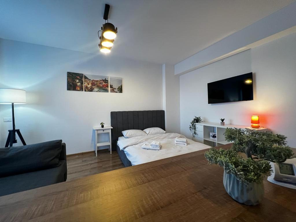 Cozy Accommodation Central City - Iasi Buitenkant foto