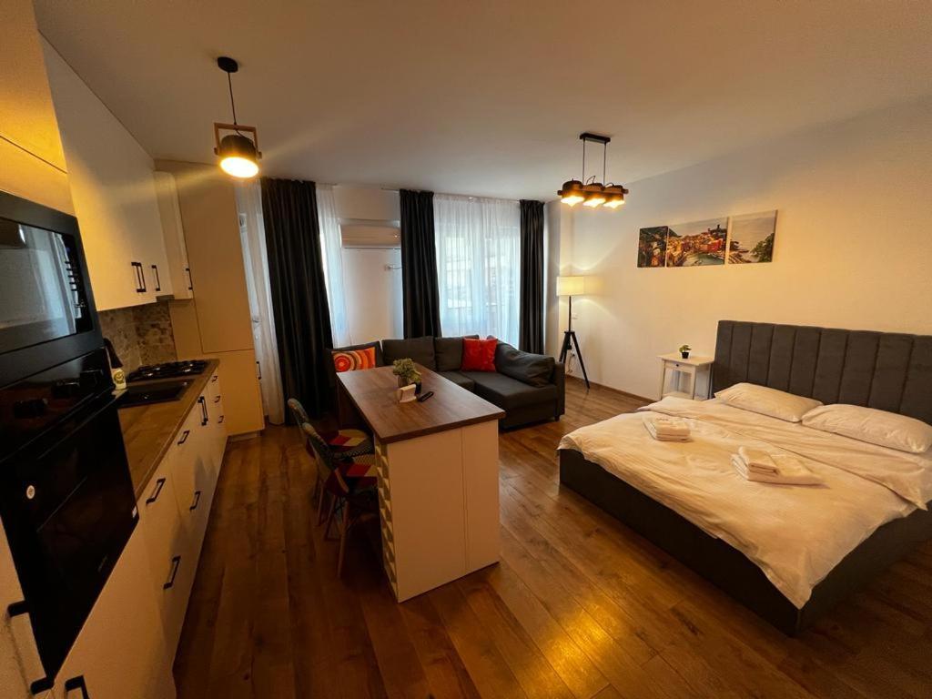Cozy Accommodation Central City - Iasi Buitenkant foto