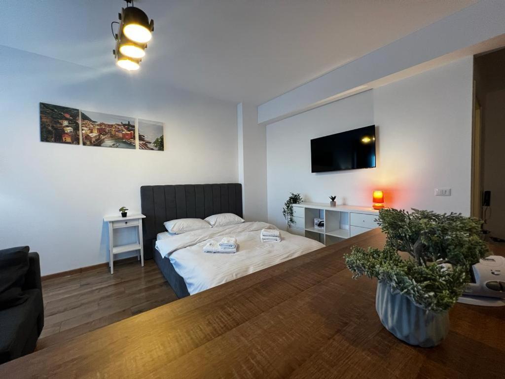 Cozy Accommodation Central City - Iasi Buitenkant foto